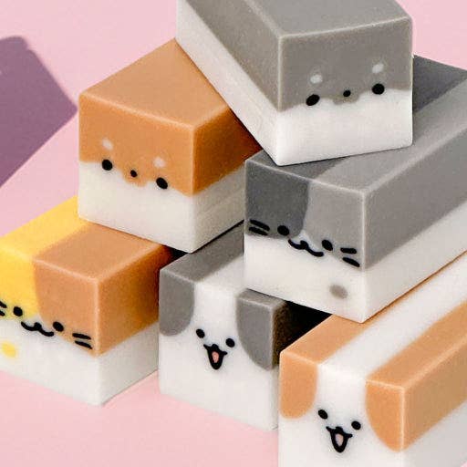 Magic Transform Animal Eraser – Blind Box