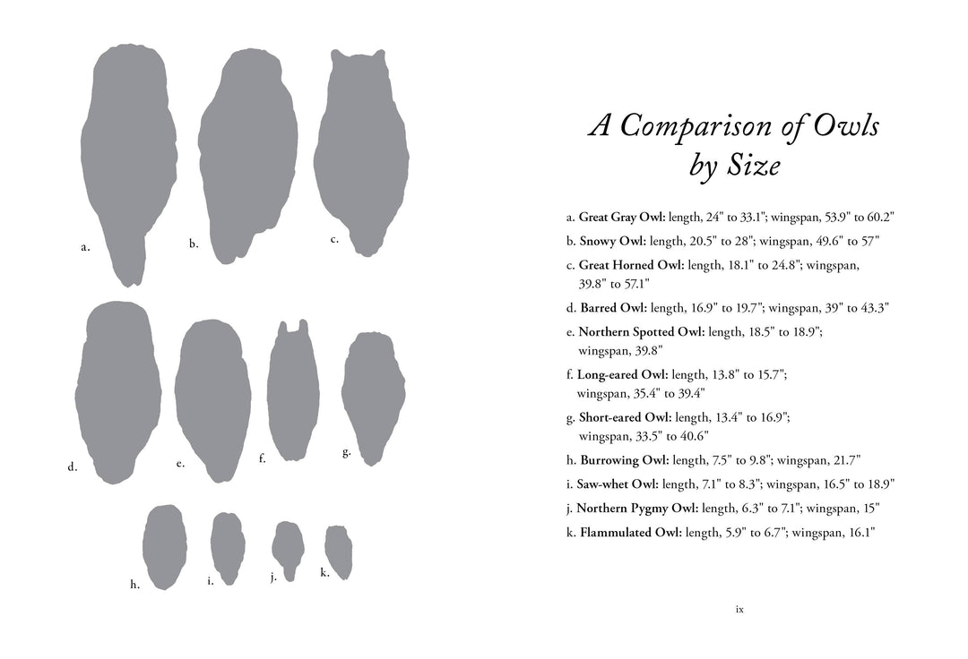 The Hidden Lives of Owls: Nature&