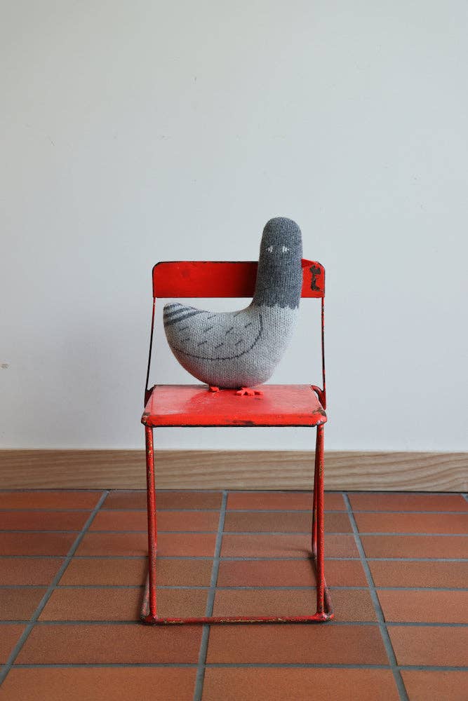 Paddy Pigeon