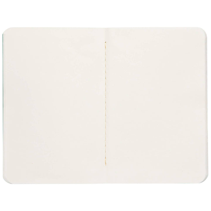 Ribbit Pocket Notebooks Set of 2