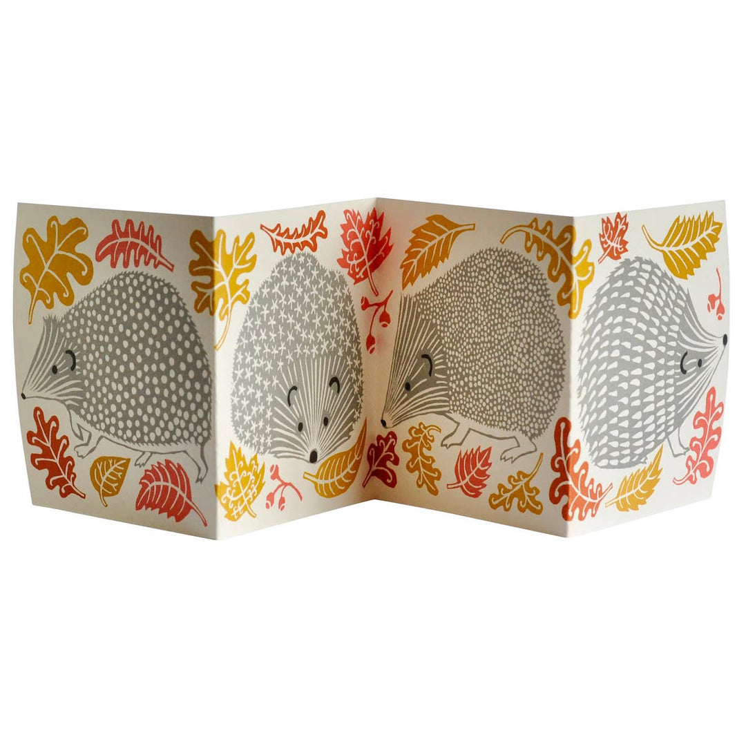 Special Card A Prickle of Hedgehogs