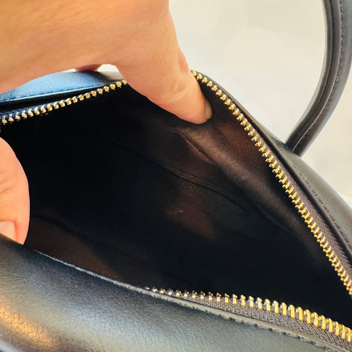 Black Swan Hand Bag