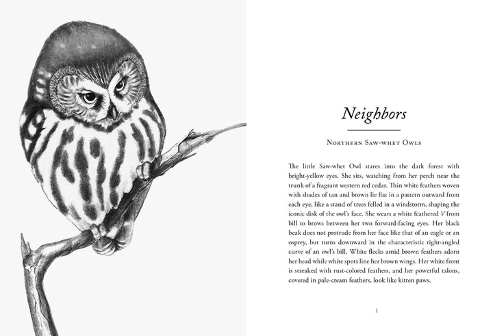 The Hidden Lives of Owls: Nature&