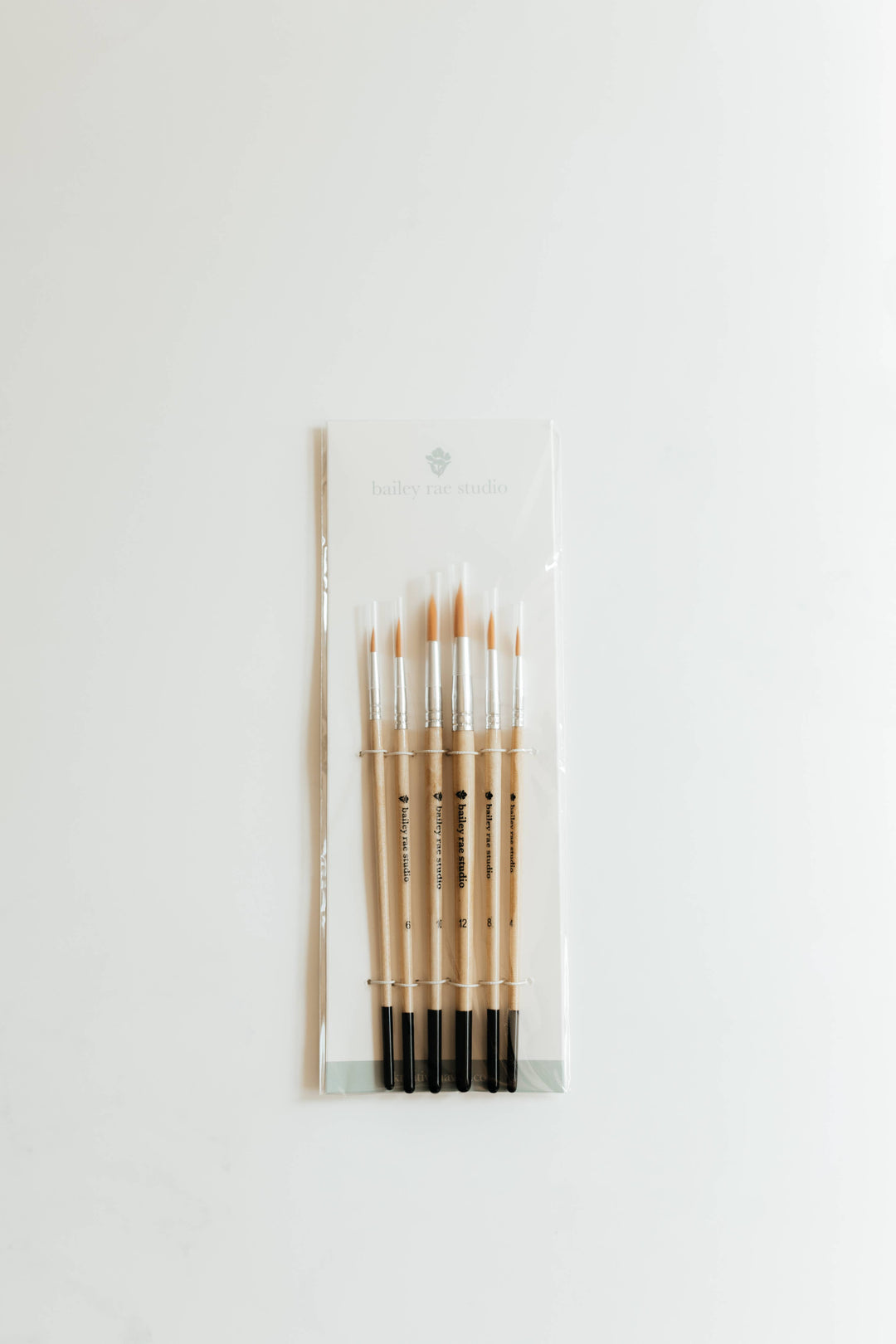 Round Tip Watercolor Brush Set -- 6 piece