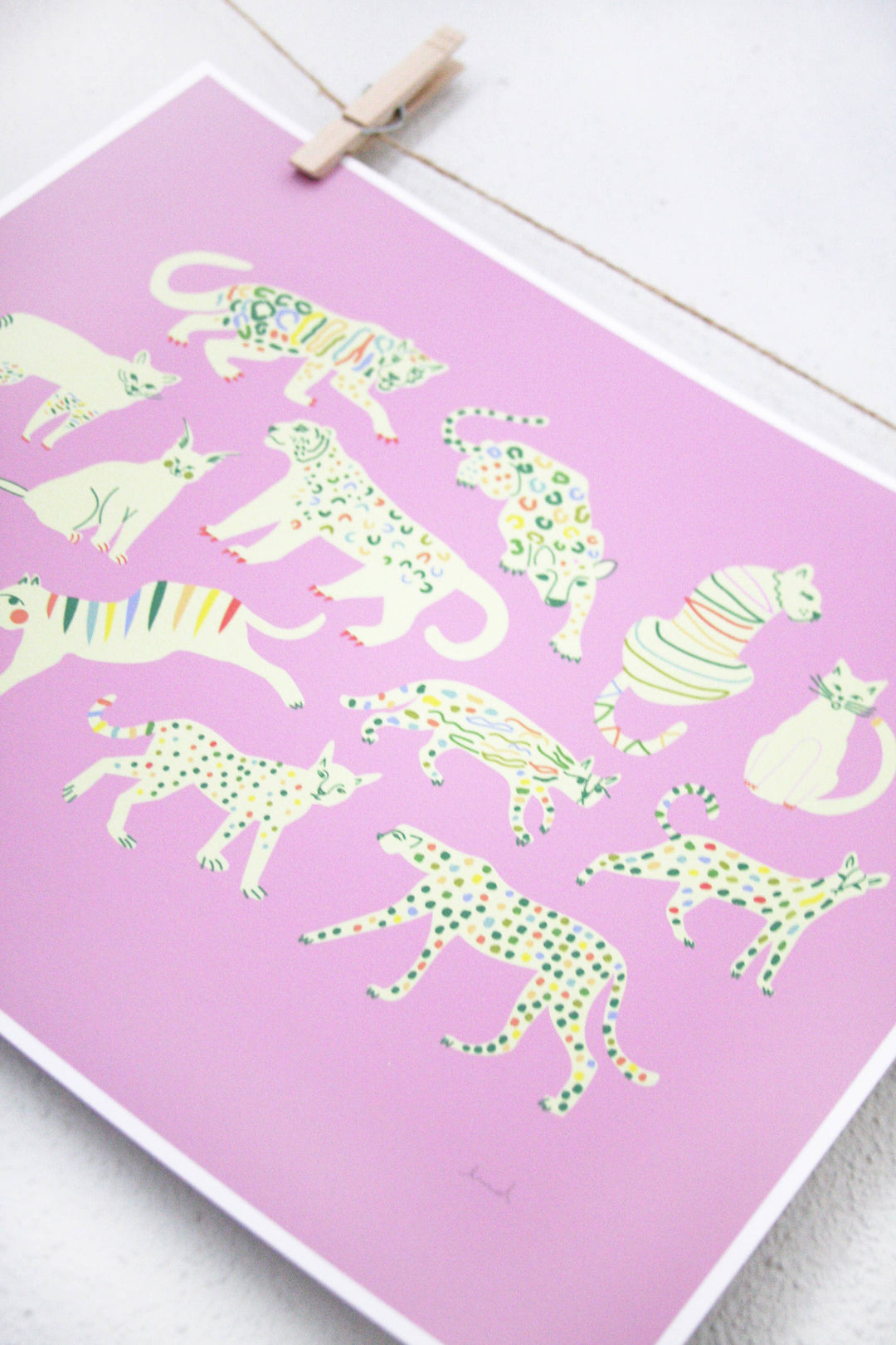 Kitty Print
