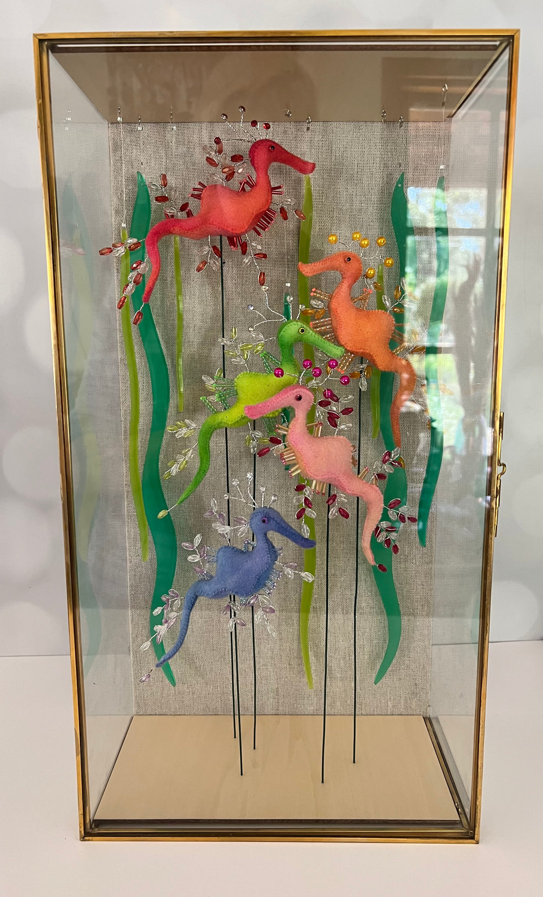 Rainbow Leafies ~ Leafy Sea Dragons Shadow Box