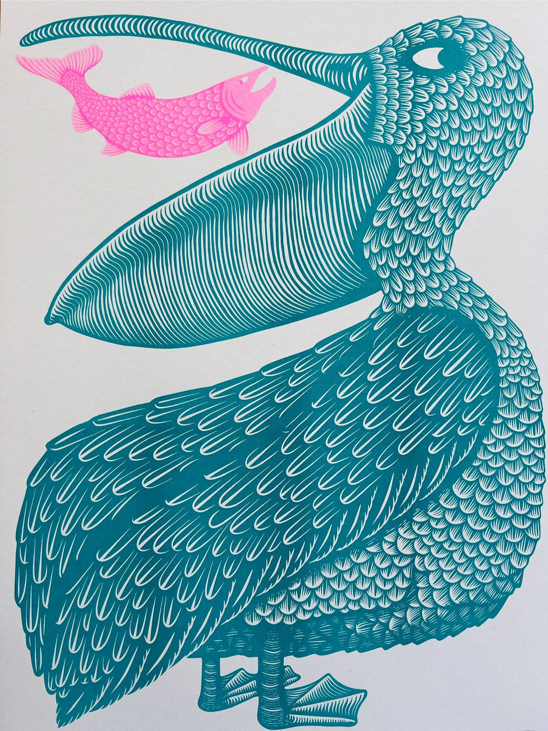 Le Beak, C&