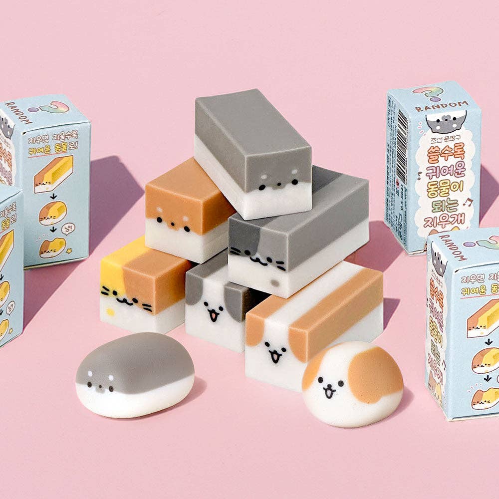 Magic Transform Animal Eraser – Blind Box