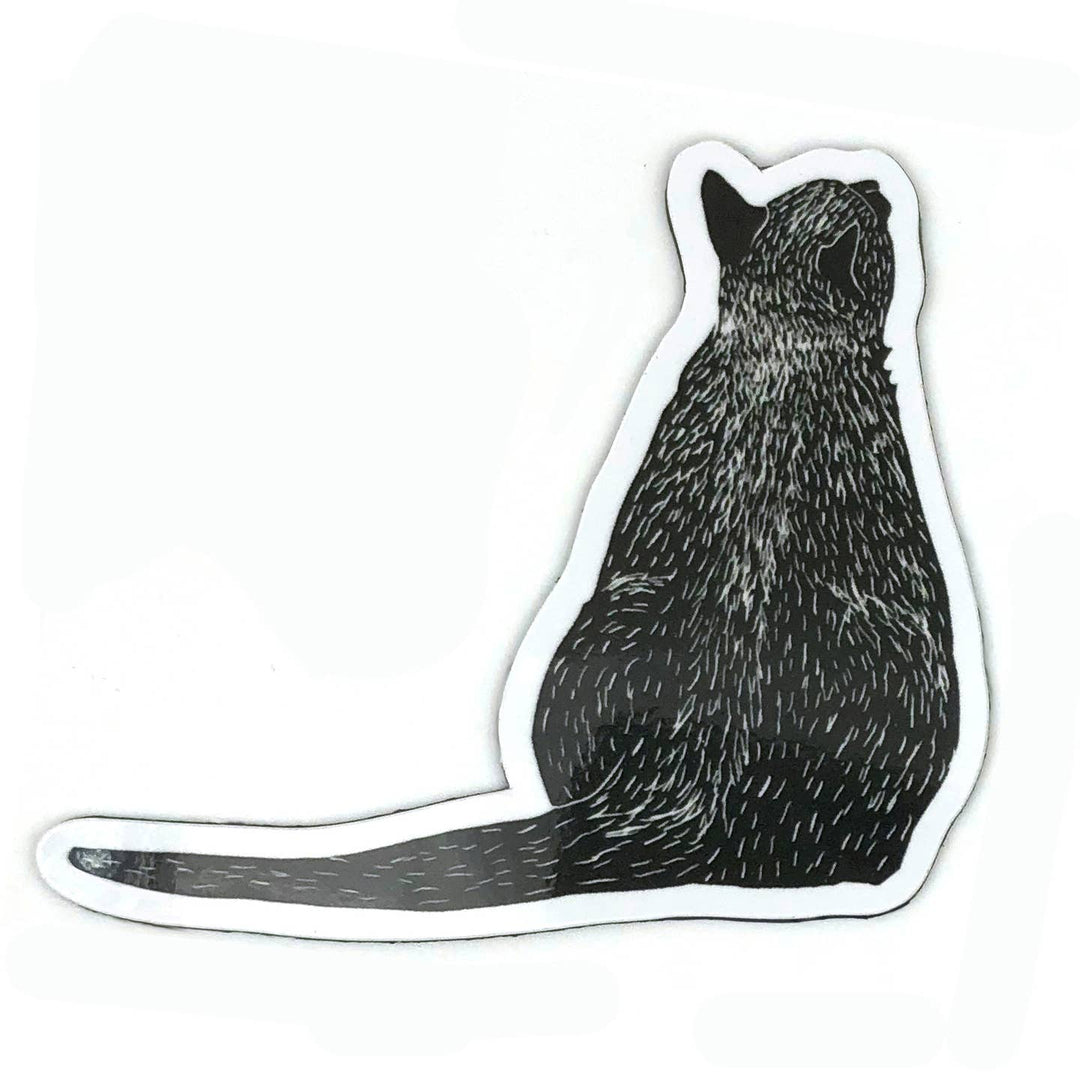 Magnets - Herd of Cats