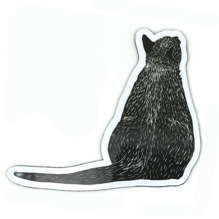Magnets - Herd of Cats