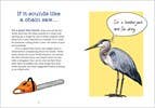 Bird Talk: Hilariously Accurate Ways to Identify Birds
