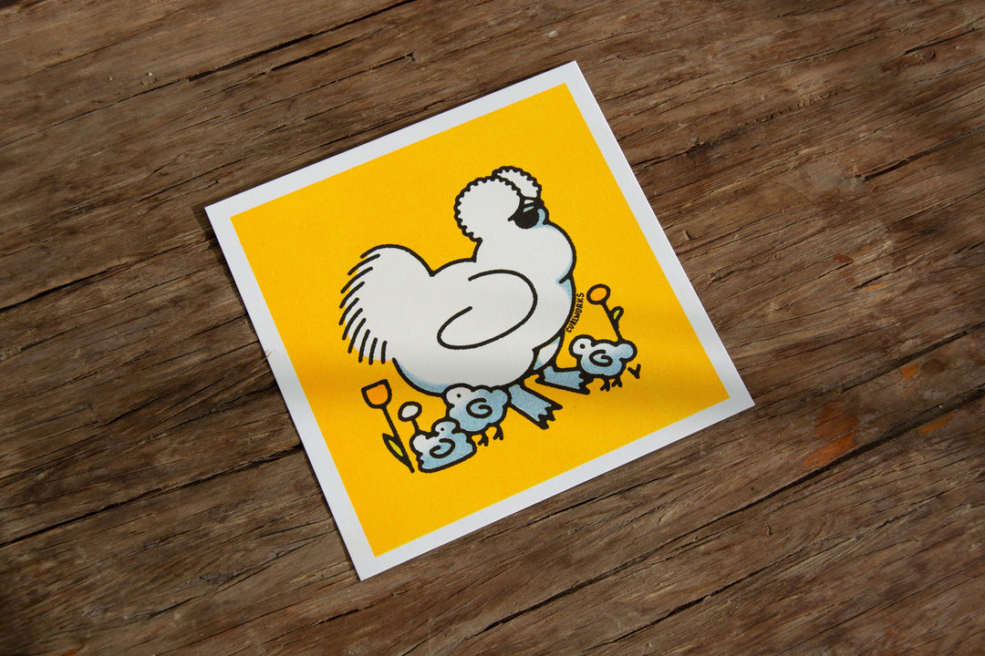 Silkie Chicken